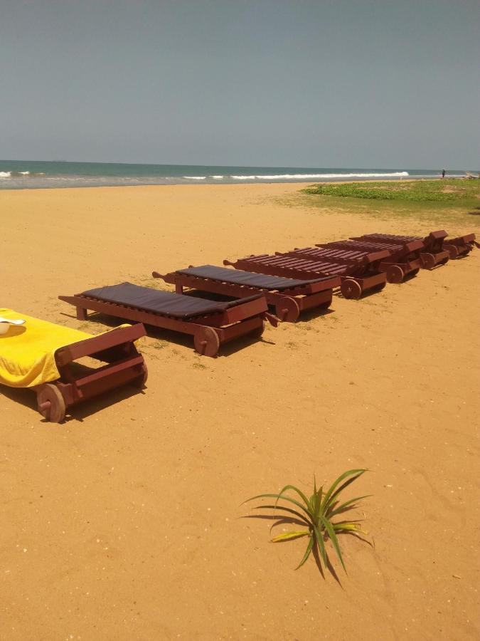 Green Shadows Beach Hotel واديوفا المظهر الخارجي الصورة