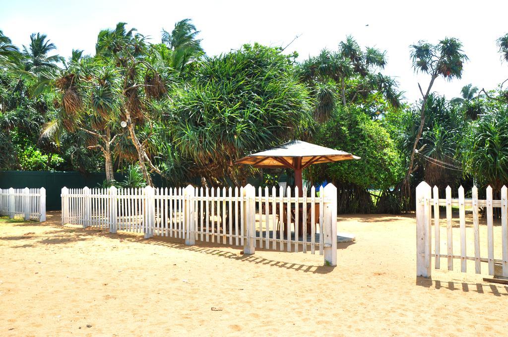 Green Shadows Beach Hotel واديوفا المظهر الخارجي الصورة