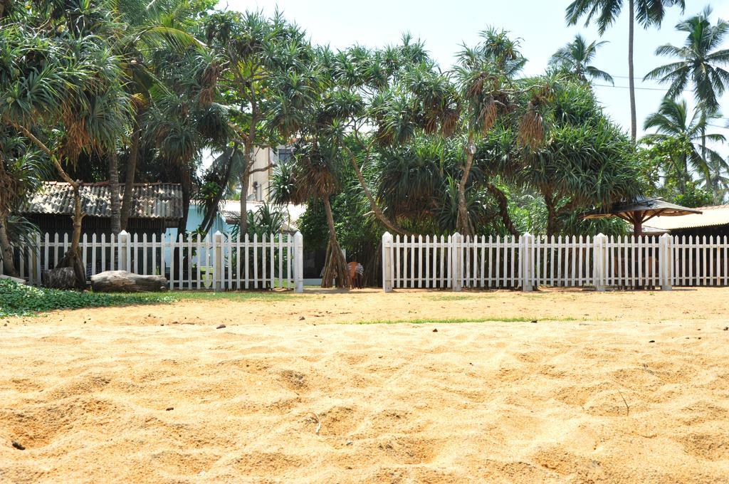 Green Shadows Beach Hotel واديوفا المظهر الخارجي الصورة