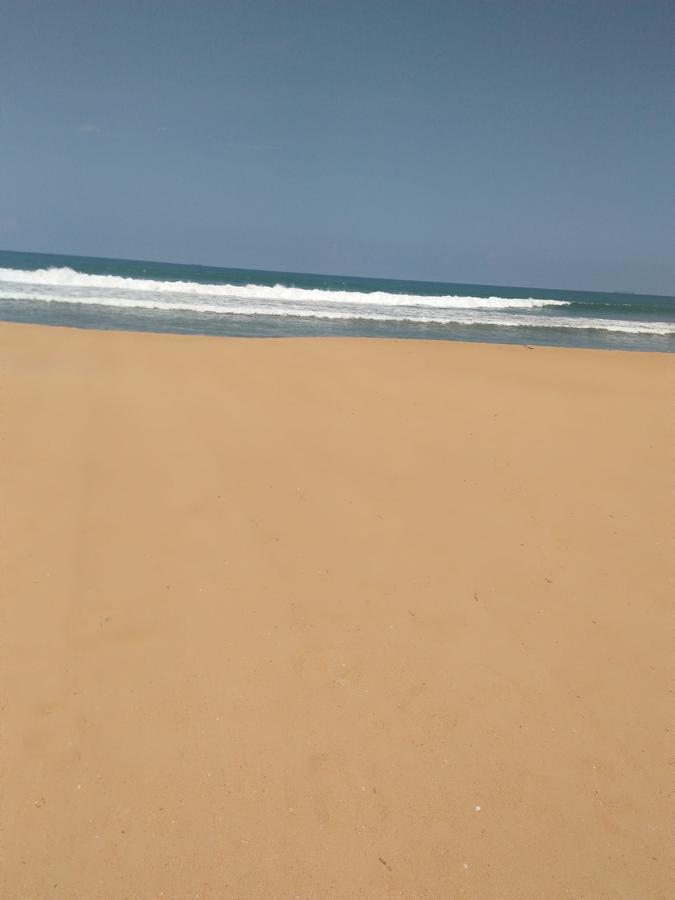 Green Shadows Beach Hotel واديوفا المظهر الخارجي الصورة